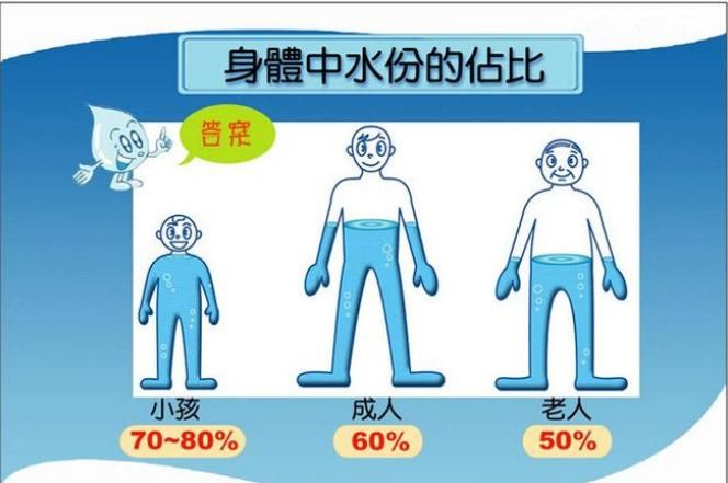 人体有多少水分