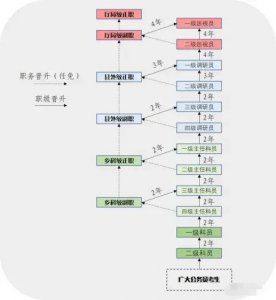 ​一图看懂公务员的职务和职级
