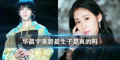 ​华晨宇张碧晨生子是真的吗