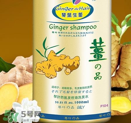 琴叶洗发水是哪国的？琴叶洗发水是几线品牌