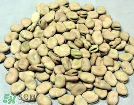 蚕豆长虫还能吃吗？蚕豆怎么保存不长虫？