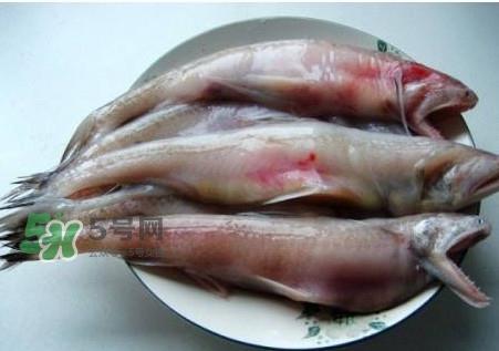 龙头鱼可以冷冻吗？龙头鱼怎么保存