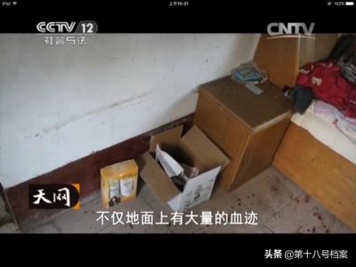 ​放爱一条生路