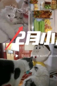 ​马蓉近况曝光，被爆败光千万家财？深夜加班养家悔不当初