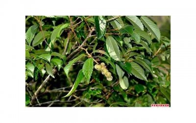 ​热恋过后冷淡期怎么办 重新腻歪时刻