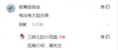 ​40个大花月季品种介绍一来了，个个花大、色艳、花香四溢，太美了