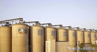 ​中粮集团内部员工薪资大排名！14.34万员工待遇被泄露到底有多高
