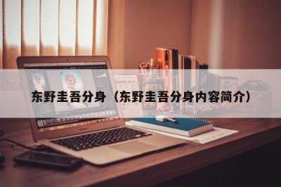 ​东野圭吾分身（东野圭吾分身内容简介）