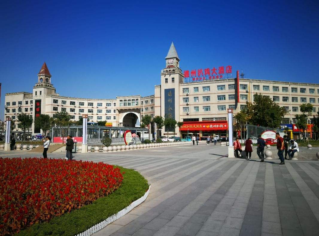 德城区是哪个省的城市(山东德城区属于哪个市)