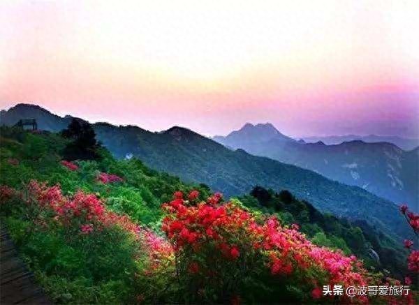杜鹃花开之际，就是马鹿塘化身花海的时候，来到这里就如误入仙境