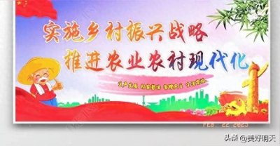 ​乡村振兴：年轻人回乡创业如何实现盈利？