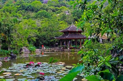 ​亚龙湾热带天堂森林公园，海南省第一座滨海山地生态观光森林公园