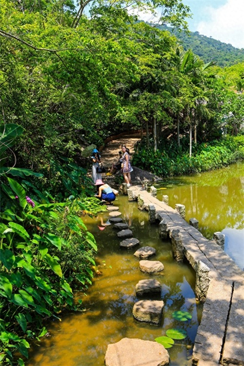 亚龙湾热带天堂森林公园，海南省第一座滨海山地生态观光森林公园