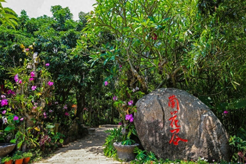 亚龙湾热带天堂森林公园，海南省第一座滨海山地生态观光森林公园