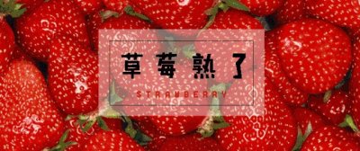 ​草莓控必看！綦江草莓采摘攻略→