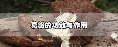 ​葛粉的功效与作用