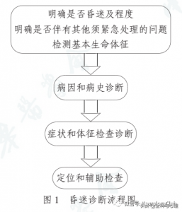 ​昏迷不醒的意思 昏迷的诊断思路