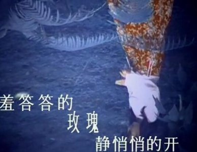 ​静悄悄的玫瑰羞答答的开是什么歌