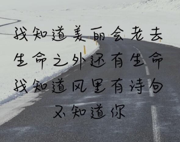 我看过沙漠下暴雨是哪一首歌