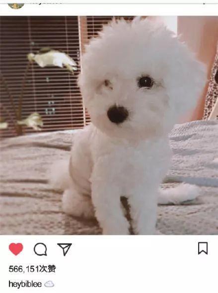 国民CP假分手!他俩怕掉粉居然改地下恋啦???