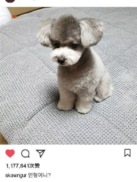 国民CP假分手!他俩怕掉粉居然改地下恋啦???