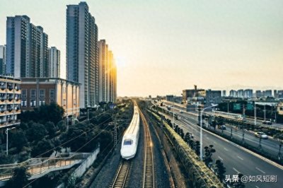 中铁集装箱运输有限责任公司2024年度新血液:高知人才汇聚