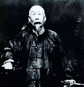 古稀英雄:冯子材的镇南关传奇