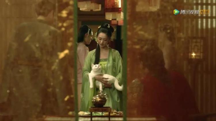 梦华录的高慧学导演却做了演员还是雪中的花魁鱼幼薇