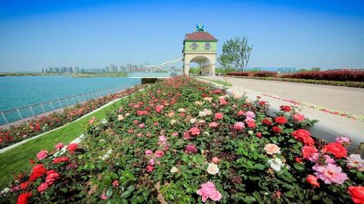 ​探花世界 | 祥源花世界五一盛大开园 产城融合谱写未来新篇章