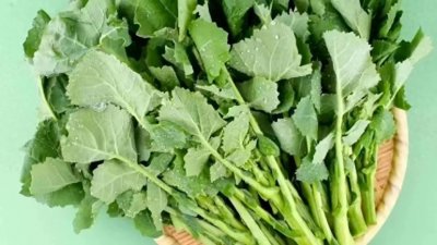 ​板蓝根青菜 安全食谱新成员