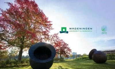 提供工资的荷兰博士继续申请:瓦格宁根大学11个岗位PHD发布!