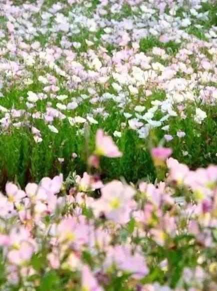 福州附近旅游攻略(超全的一份福州周边游攻略)(24)