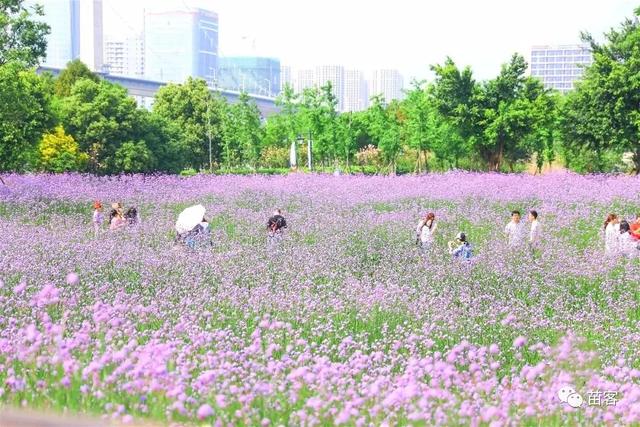 福州附近旅游攻略(超全的一份福州周边游攻略)(23)