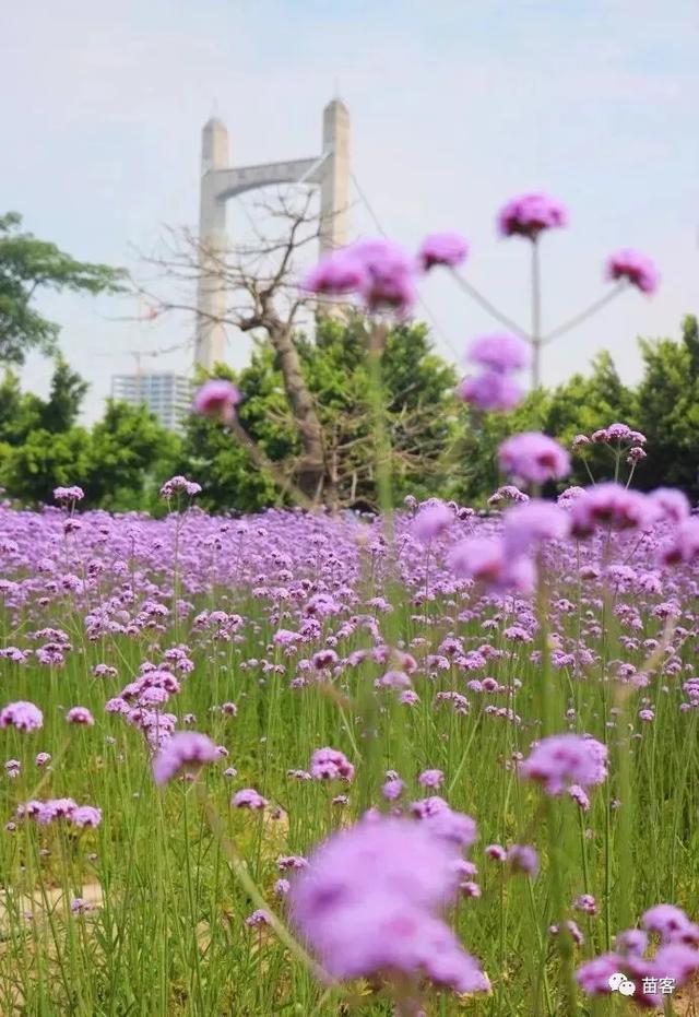 福州附近旅游攻略(超全的一份福州周边游攻略)(21)