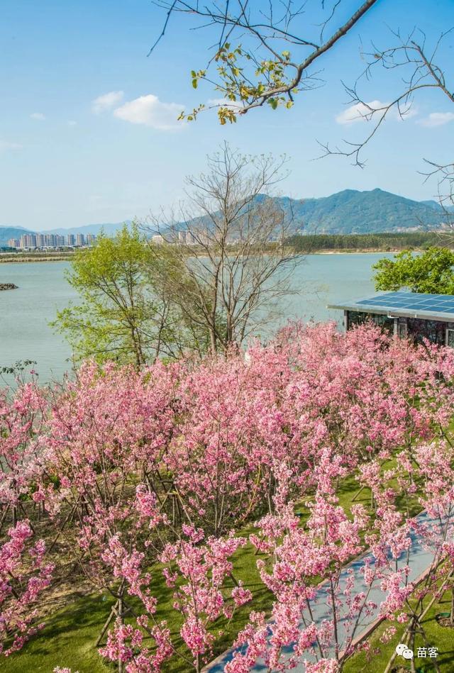 福州附近旅游攻略(超全的一份福州周边游攻略)(27)