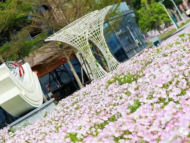 福州附近旅游攻略(超全的一份福州周边游攻略)(25)