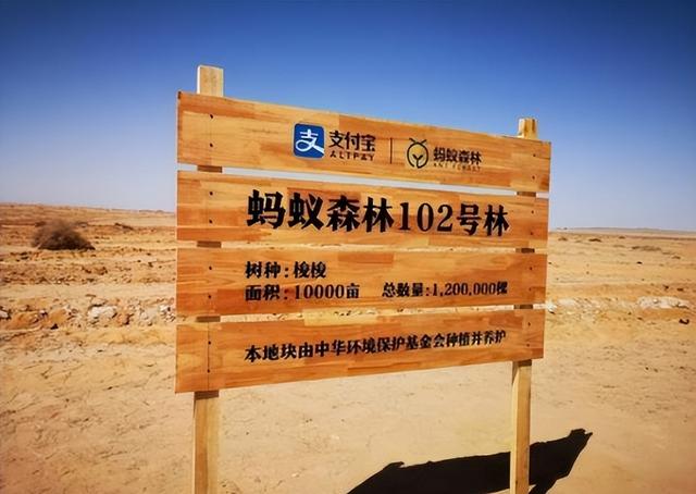 马云又有新动作（马云新身份曝光）(8)