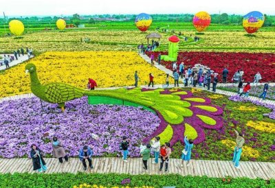 ​多彩城市，焕发强劲动力