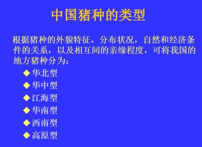 ​“中国常见地方品种猪简介”养猪，你真正的了解多少猪的品种？