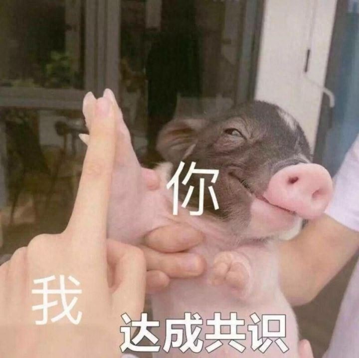 搞笑可爱表情图｜专业按摩来一套