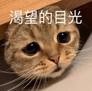 ​搞笑可爱表情图｜专业按摩来一套