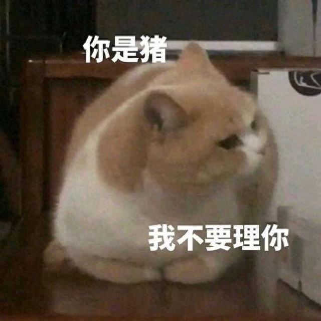 搞笑可爱表情图｜专业按摩来一套