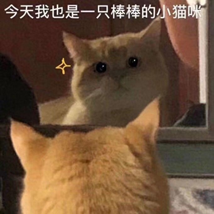 搞笑可爱表情图｜专业按摩来一套