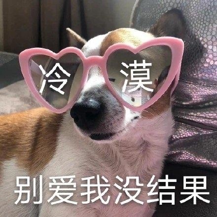 搞笑可爱表情图｜专业按摩来一套