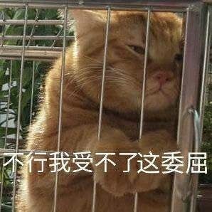 搞笑可爱表情图｜专业按摩来一套