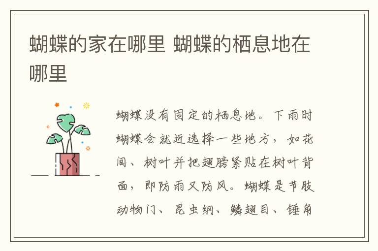 蝴蝶的家在哪里 蝴蝶的栖息地在哪里-图1