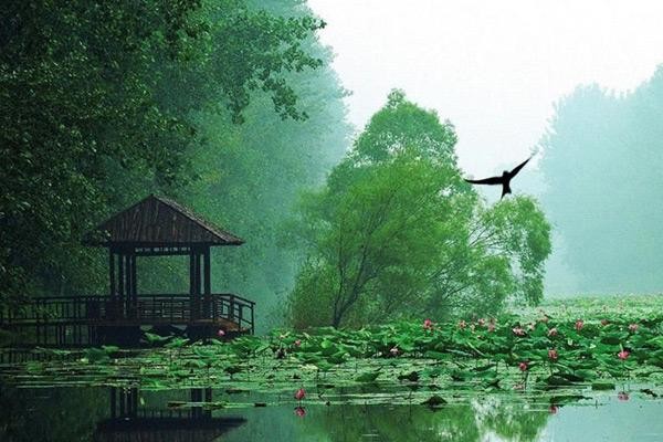 中国十大湖泊(中国最大的湖泊是哪个湖)