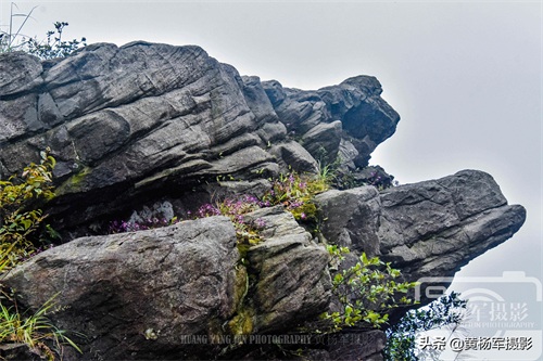 赣州于都县屏山牧场的秀美风光，说走就走的旅行选择安静的屏山