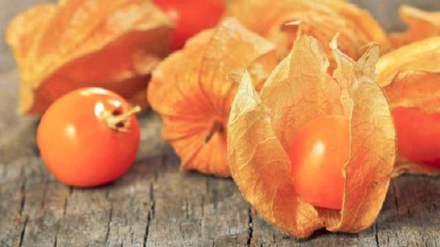 它是乡下小孩最爱野果，吃起来酸酸脆脆，别名“灯笼草”，很好看