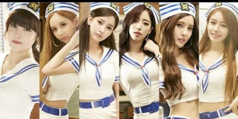 tara组合成员（T-ara曾经的韩国百变女团）